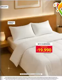 Catálogo Ara semana 29 Página 5