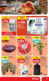 Auchan akciós újság hét 29 Oldal 33