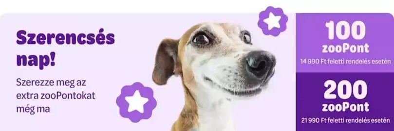 ZooPlus akciós újság Oldal 2