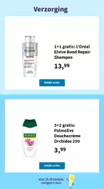 Plein.nl folder Pagina 13