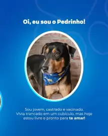 Catálogo Ortobom Página 2