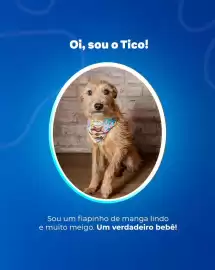 Catálogo Ortobom Página 3