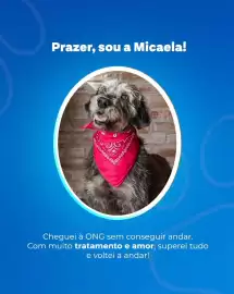 Catálogo Ortobom Página 4