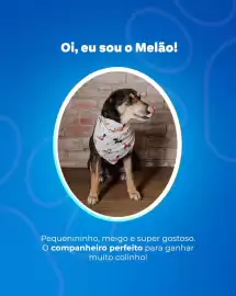 Catálogo Ortobom Página 5