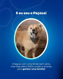 Catálogo Ortobom Página 6