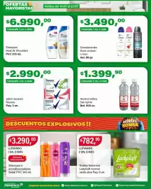 Catálogo Supermercados Damesco semana 29 Página 8