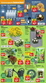 Thomas Philipps Prospekt woche 30 Seite 4