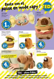 Catalogue TEDi page 18