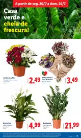 Folheto Lidl semana 30 Página 31