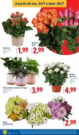Folheto Lidl semana 30 Página 32