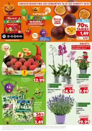 Kaufland gazetka Strona 7