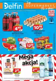 Delfin gazetka Strona 1