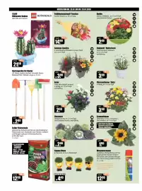 V Baumarkt Prospekt woche 30 Seite 2