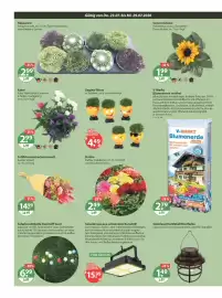V Markt Prospekt woche 30 Seite 14