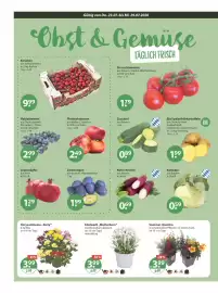 V Markt Prospekt woche 30 Seite 4