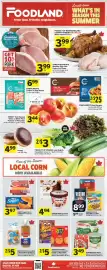 Foodland flyer week 29 Page 1