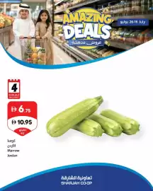 Sharjah Co-op catalogue Page 2