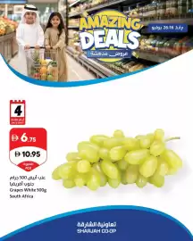 Sharjah Co-op catalogue Page 3