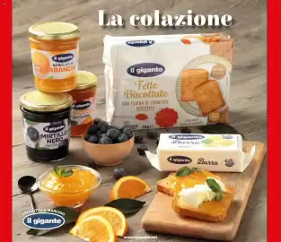 Volantino Il Gigante | Prezzo Basso Sempre Pagina 4