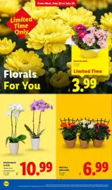 Lidl weekly ad week 30 Page 36