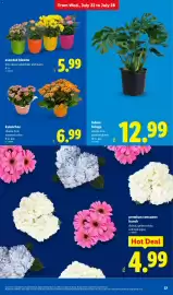 Lidl weekly ad week 30 Page 37