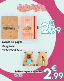 Catalogue Maxi Bazar page 5