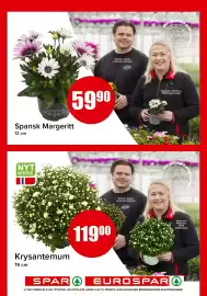 Spar Side 15
