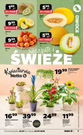 Netto gazetka tydzień 30 Strona 7