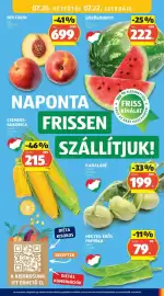ALDI akciós újság hét 29 Oldal 15