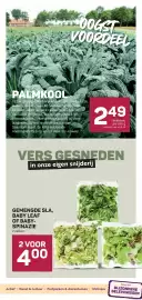 Ekoplaza folder week 30 Pagina 11