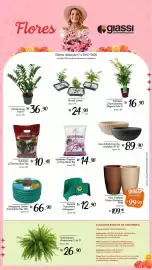 Encarte Giassi Supermercados semana 29 Página 2