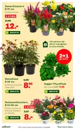 Welkoop folder Pagina 31