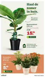 Welkoop folder Pagina 39