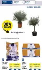 METRO Prospekt woche 30 Seite 12