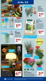 Aldi Süd Prospekt woche 32 Seite 13