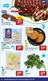 ALDI folder | BBQ Pagina 13