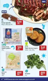 ALDI folder | BBQ Pagina 13