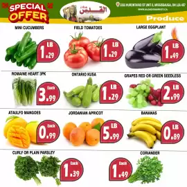 Al-Quds Supermarket flyer week 29 Page 3