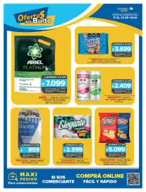 Folleto Carrefour Maxi Página 10