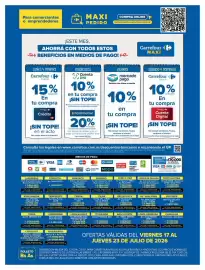 Folleto Carrefour Maxi Página 13