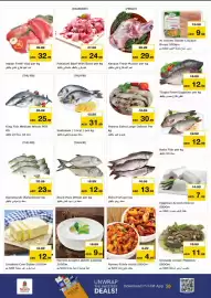 Nesto catalogue Page 13