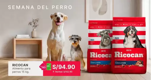 Catálogo Falabella Página 1