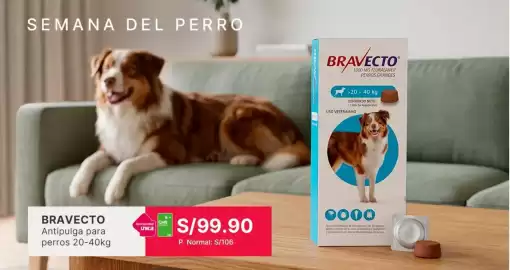 Catálogo Falabella Página 2