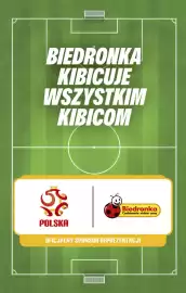 Biedronka gazetka Strona 9