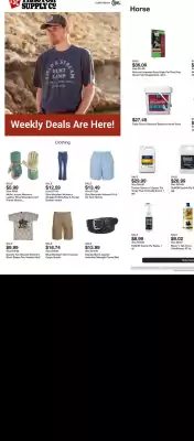 Tractor Supply Company (valid until 20-07)