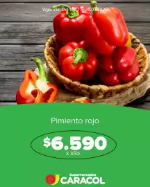 Catálogo Supermercados Caracol Página 4