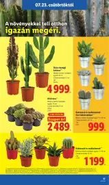 Lidl akciós újság hét 30 Oldal 27