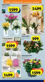 ALDI akciós újság Oldal 45