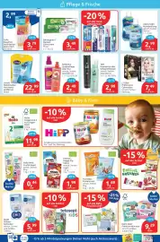 Budni Prospekt woche 31 Seite 3