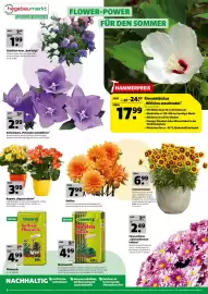 Hagebau Prospekt woche 29 Seite 6
